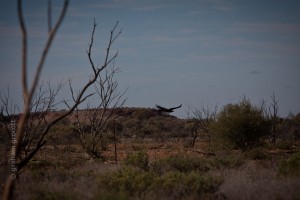 IMG_5403