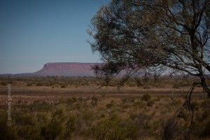 mt conner