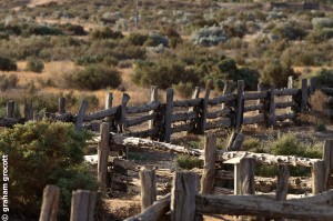 sheep yards