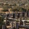 sheep yards
