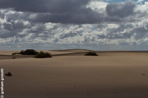 IMG_6542