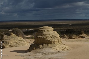IMG_6553