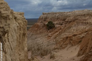 IMG_6558