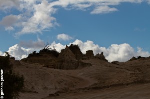 IMG_6582