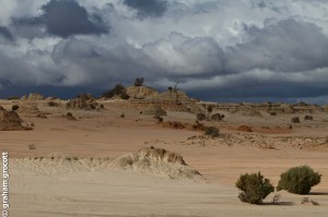 IMG_6592