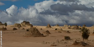 IMG_6598