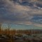 IMG_6977
