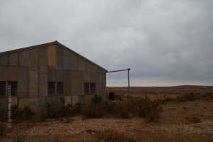 IMG_7101