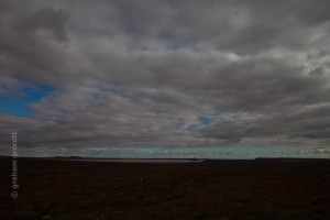 IMG_7110