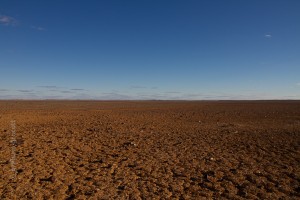 IMG_7179