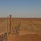 The Dingo Fence - 5kms long.
longest fence in the world