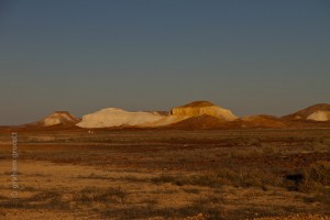 IMG_7201