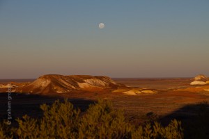 IMG_7215