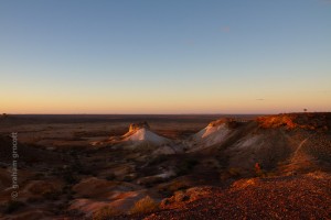IMG_7229