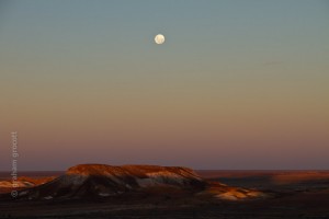 IMG_7231