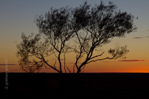 IMG_7253