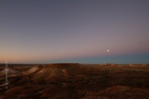 IMG_7262