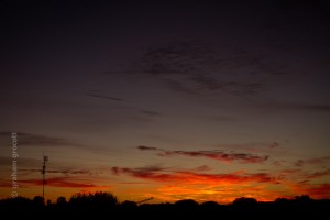 IMG_7275