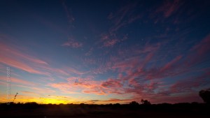 IMG_7282