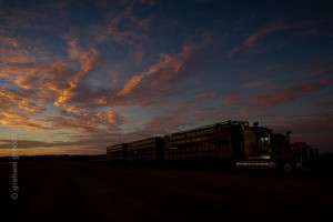 IMG_7289