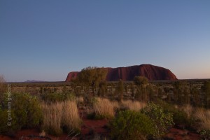 IMG_7507