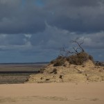 IMG_9431