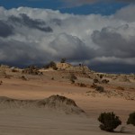 IMG_9480
