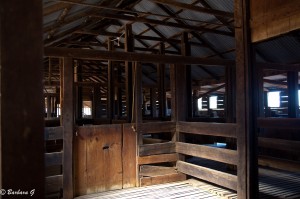 IMG_9976