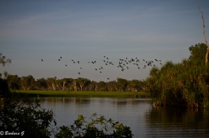 IMG_0051