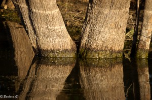 IMG_0081