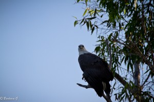 IMG_0114