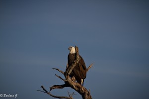 IMG_0124