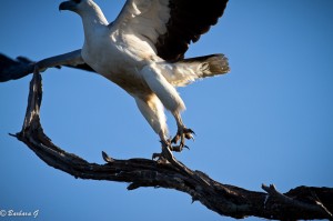 IMG_0136