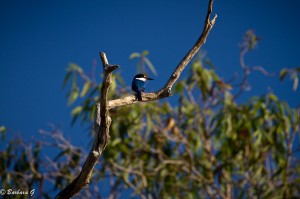 IMG_0166