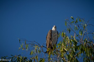 IMG_0189