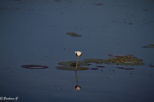 IMG_0212