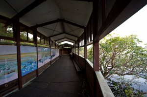 IMG_0361