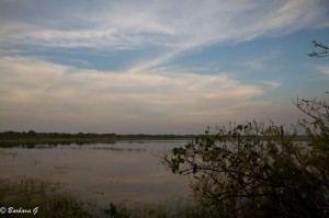 IMG_0371
