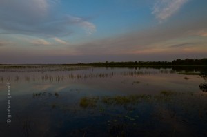 IMG_0391