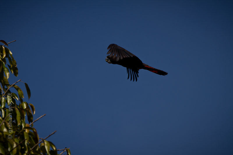 IMG_0435