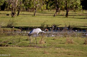IMG_1281