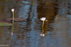 IMG_1314