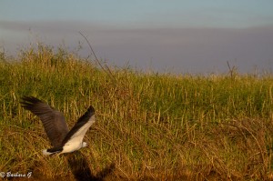 IMG_1541