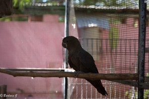 IMG_1572