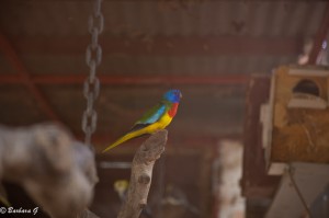 IMG_1577