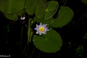 IMG_1587
