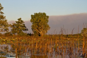 IMG_1683