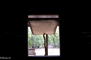IMG_1707