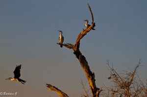 IMG_1719