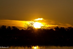 IMG_1750
